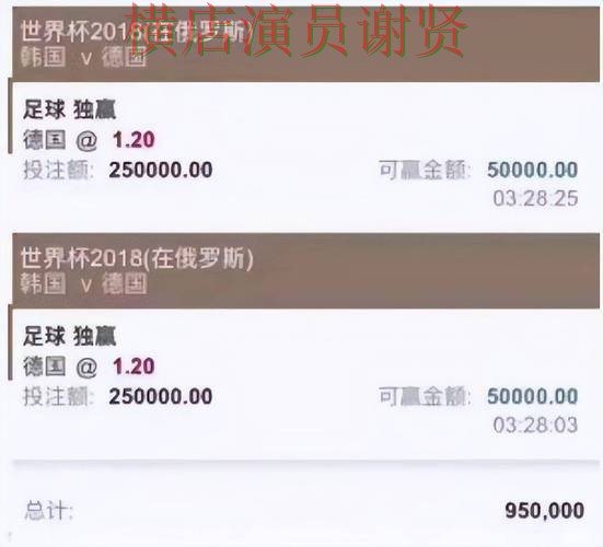 世界杯直播来临，世界杯投注平台推荐稳定性评测与平台选择解析
